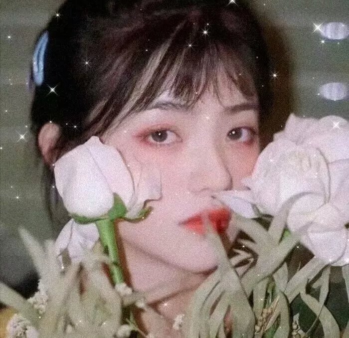 献给灰姑娘的吻